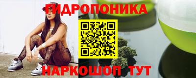 молекула духа Будённовск