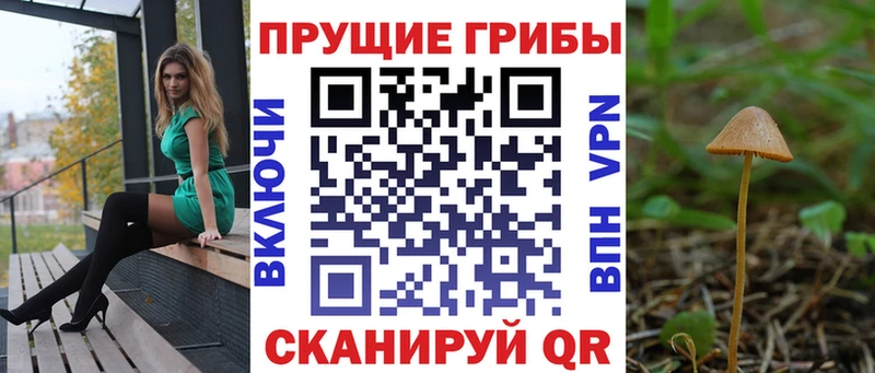 Галлюциногенные грибы ЛСД  Железногорск 