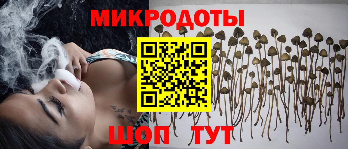 Псилоцибиновые грибы мицелий Железногорск