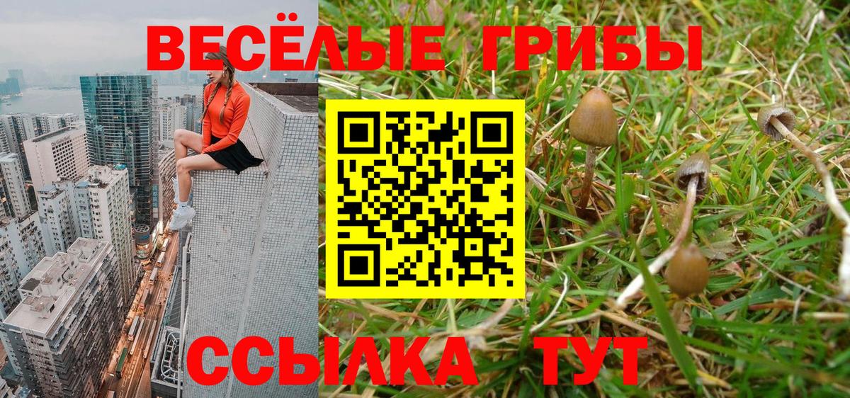 Псилоцибиновые грибы прущие грибы  Галлюциногенные грибы мицелий  Железногорск  Вход с VPN 