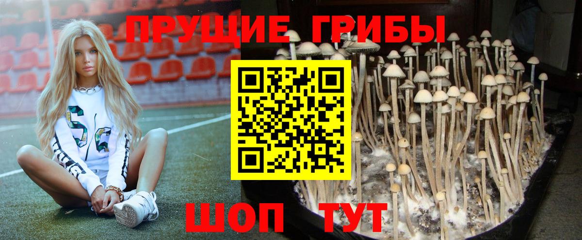 Псилоцибиновые грибы ЛСД  цены наркотик  Псилоцибиновые грибы Magic Shrooms  Железногорск 